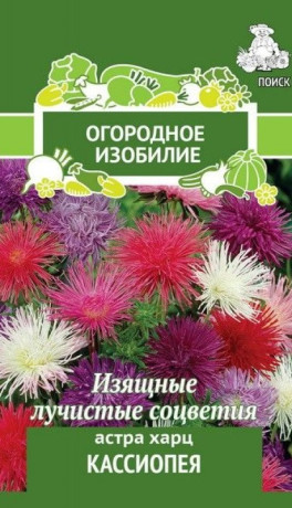 Астра Кассиопея (поиск) 0,3гр