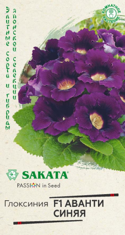 Глоксиния Аванти синяя F1 (г) 5шт