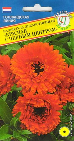 Календула Красная с черным центром (престиж) 0,3 гр