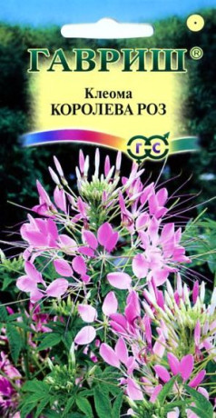 Клеома Королева роз (г) 0,2гр