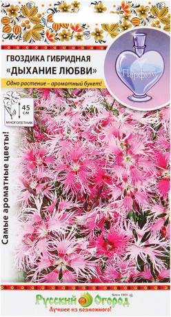 Гвоздика гибридная Дыхание любви (нк) 60шт