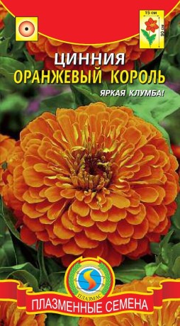 Цинния Оранжевый король (плазмас) 0,3 гр