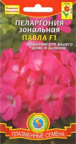 Пеларгония Павла F1 (п) 3шт