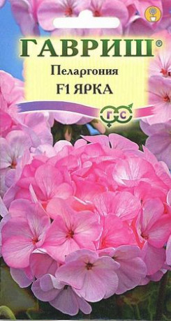 Пеларгония Ярка F1 (г) 4шт