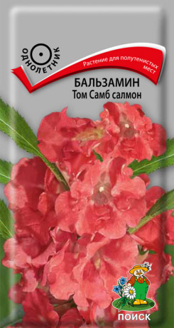 Бальзамин Том самб салмон (поиск) 0,1гр