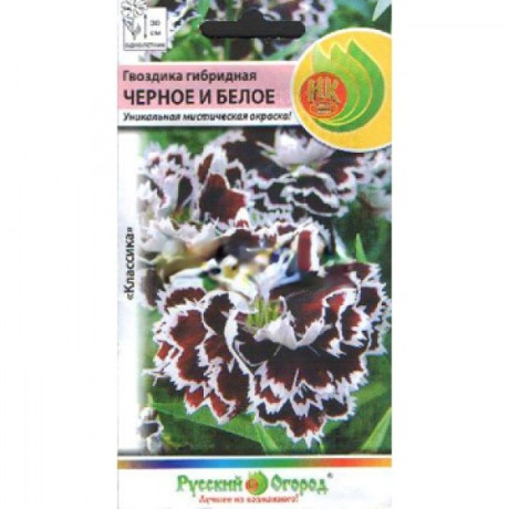 Гвоздика гибридная Черное и Белое  (нк) 50шт