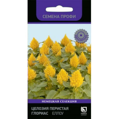 Целозия перистая Глориас еллоу (поиск) 10шт