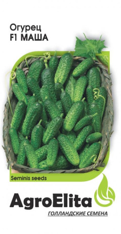 Огурец Маша F1 (агроэлита) 5шт (seminis)