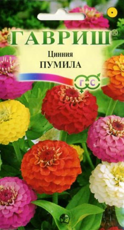 Цинния Пумила смесь (гавриш) 0,5гр