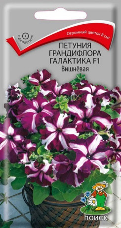 Петуния грандифлора Галактика вишневая F1 (поиск) 10шт