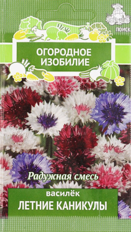 Василек Летние каникулы (поиск) 1г
