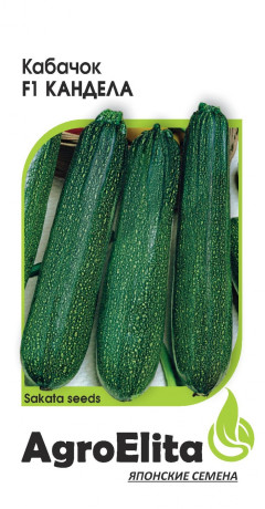 Кабачок Кандела F1 (агроэлита) 5шт (sakata)