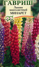 Люпин низкорослый Минарет (гавриш) 0,5гр