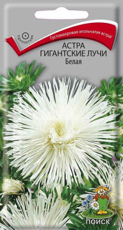 Астра Гигантские лучи белая (поиск) 0,3гр