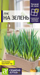 Лук на зелень (семена Алтая) 0,5гр (урожай на окне)