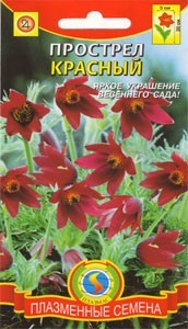 Прострел Красный (плазмас) 10 шт