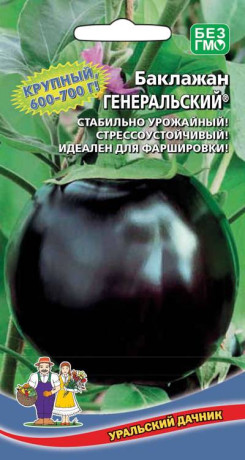 Баклажан Генеральский (уральский дачник) 20шт