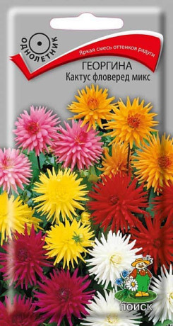 Георгина Кактус Фловеред микс (поиск) 0,2г