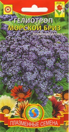 Гелиотроп Морской бриз (плазмас) 0,02гр