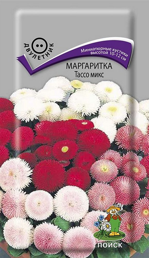 Маргаритки Семена Купить