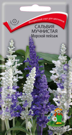 Сальвия мучнистая Морской пейзаж (поиск) 10шт