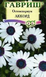 Остеоспермум Аккорд (гавриш) 0,1гр