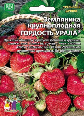 Земляника крупноплодная Гордость урала (уральский дачник) 10шт