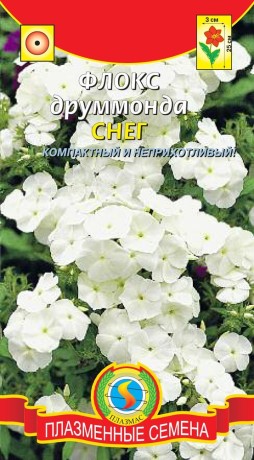 Флокс друммонда Снег (плазмас) 0,1 гр