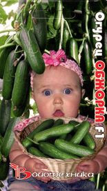 Огурец Обжорка F1 (биотехника) 6шт