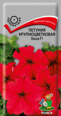Петуния грандифлора Ласка F1 (поиск) 20шт
