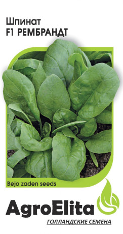 Шпинат Рембрандт F1 (аэ) 1,0гр (bejo)