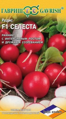 Редис Селеста F1 (гавриш) 0,5 гр (bejo)