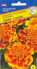 Бархатцы Квин София (престиж) 20 шт