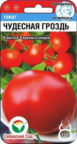 Томат Чудесная гроздь (сибирский сад) 20шт