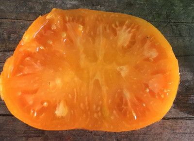 Томат Жемчужина Джанет (мязина) 0,03гр