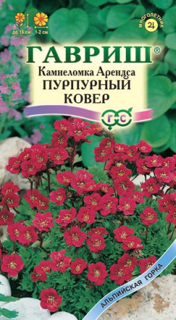 Камнеломка Пурпурный ковер (г) 0,01гр