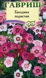 Гвоздика перистая Варьете (гавриш) 0,1гр многолетник