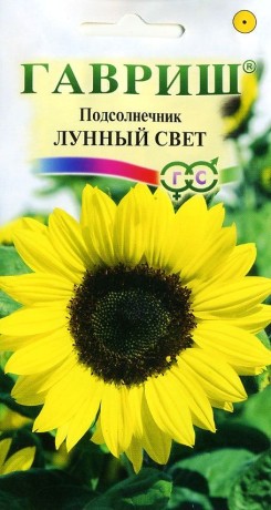 Подсолнух декоративный Лунный свет (г) 0,5 гр