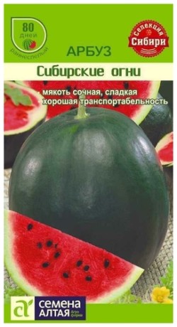 Арбуз Сибирские огни (семена Алтая) 1,0гр