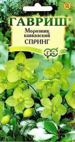 Морозник кавказский Спринг (гавриш) 0,1гр