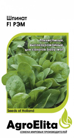 Шпинат Рэм F1 (агроэлита) 1,0гр (Enza Zaden)