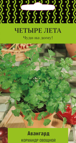 Кориандр Авангард (поиск) 1гр