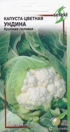 Капуста цветная Ундина (дс) 70шт