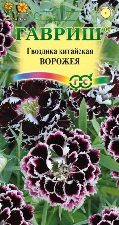 Гвоздика Ворожея китайская (г) 0,05гр
