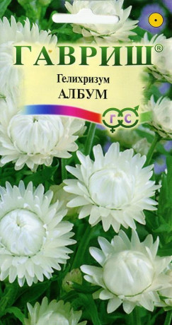 Гелихризум Албум (гавриш) 0,1гр