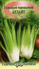 Сельдерей черешковый Атлант (г) 0,1гр