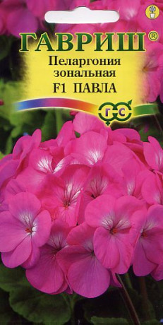 Пеларгония Павла F1 (г) 4шт