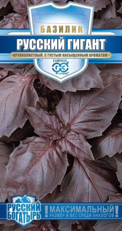 Базилик Фиолетовый Русский гигант (гавриш) 0,1 гр