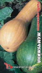 Тыква Мускатная Жемчужина (биотехника) 6шт