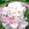 Петуния махровая Дабл Каскад Орхид Мист(поиск) 10шт